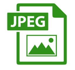 скачать файл в формате PDF